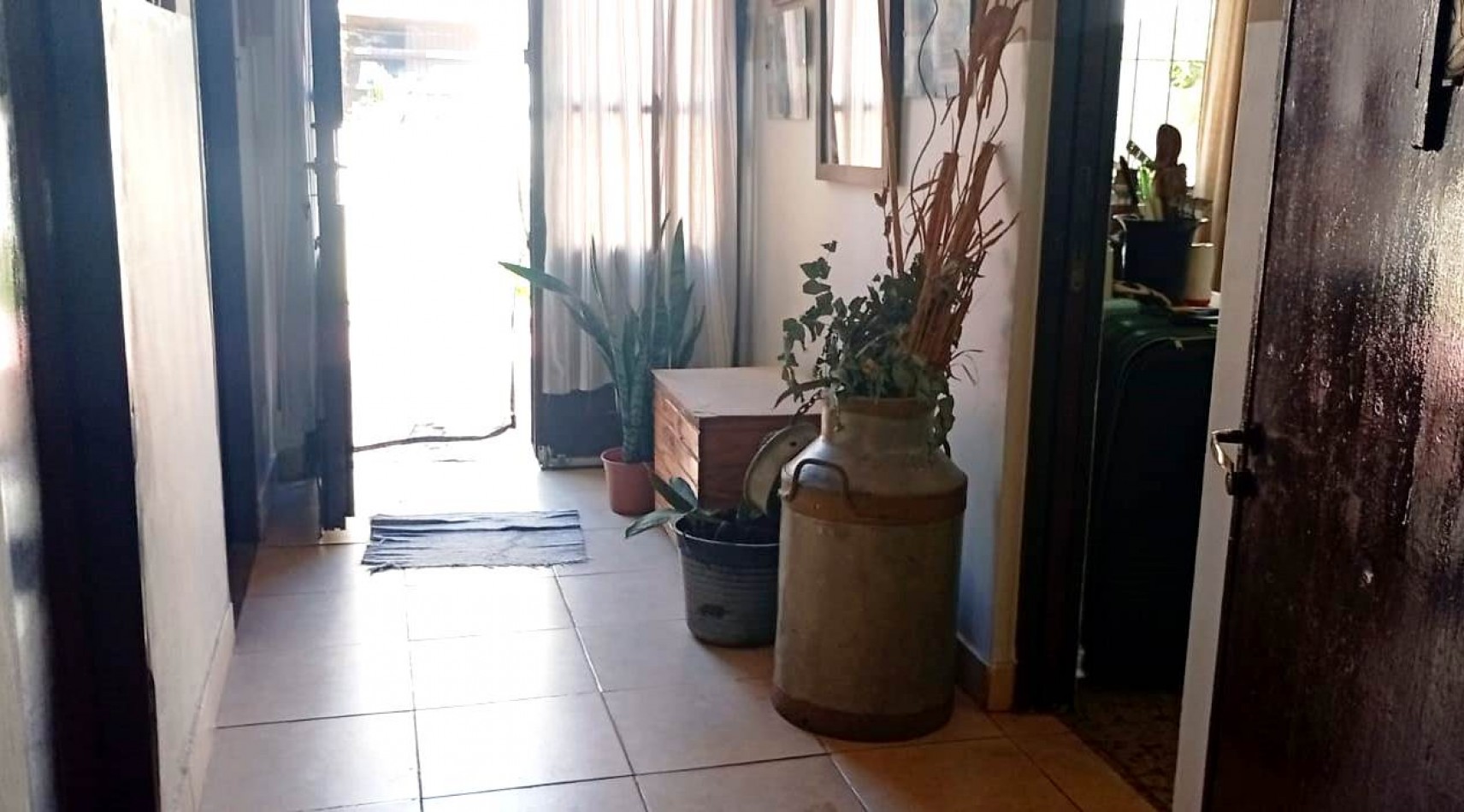 CASA 5 AMB MONTE CASTRO